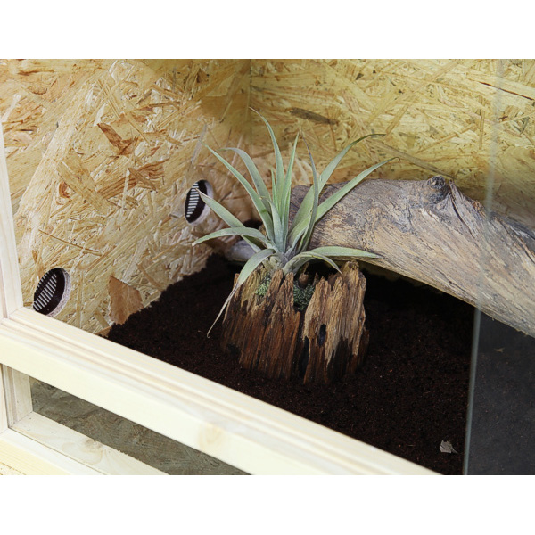 Terrarien aus forex platten terrarium